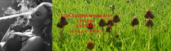 круглые Верхний Тагил