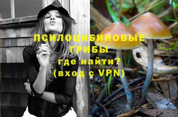 спайс Верея