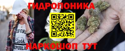 гидропоника Берёзовский