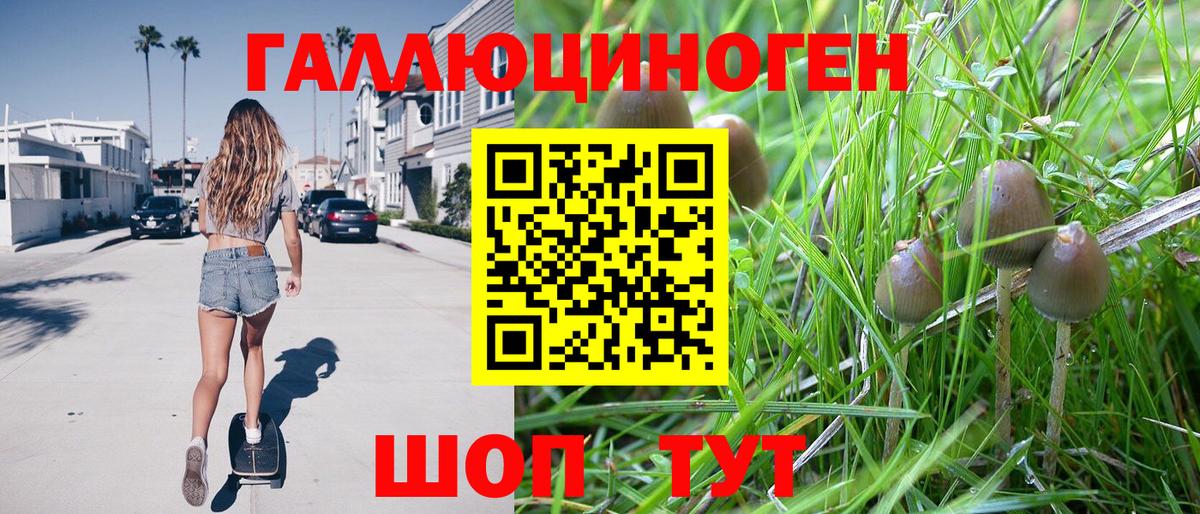 Псилоцибиновые грибы Cubensis Выкса