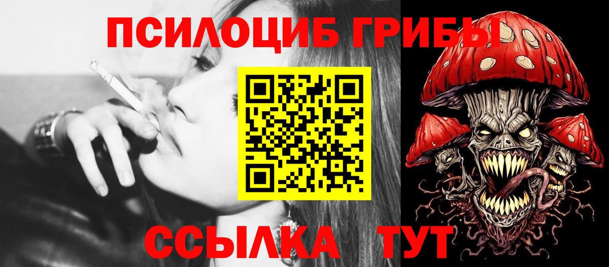 Псилоцибиновые грибы GOLDEN TEACHER  Галлюциногенные грибы Psilocybe  Выкса 