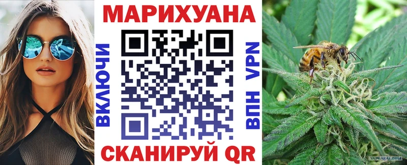 Шишки марихуана сатива где найти наркотики Выкса